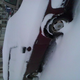 Illustration for article titled NPOCP - Snow Covered Volvo Wagon